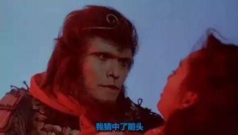 娱乐圈最后几天的爆料文,真相与传闻的终极对决